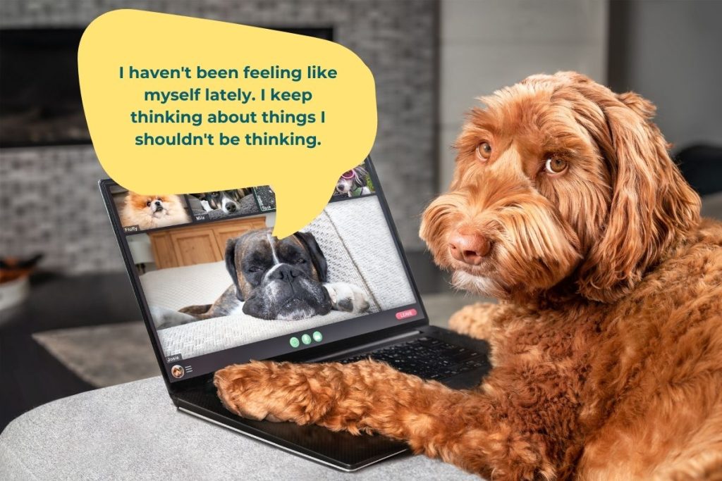 Dog on laptop illustrating anxiety and constant worry, explaining anxiety to others.